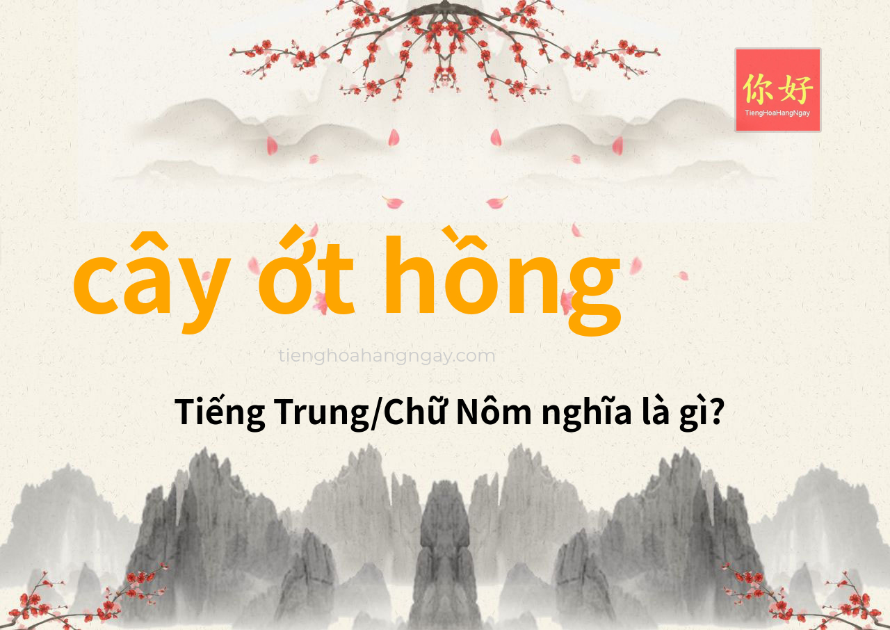 cây ớt hồng tiếng Trung là gì?